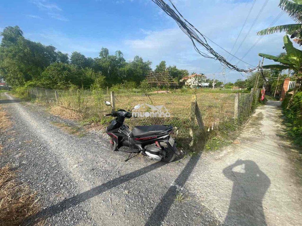 Bán đất lúa chờ kv chuyển thổ - hem xe hơi - 3