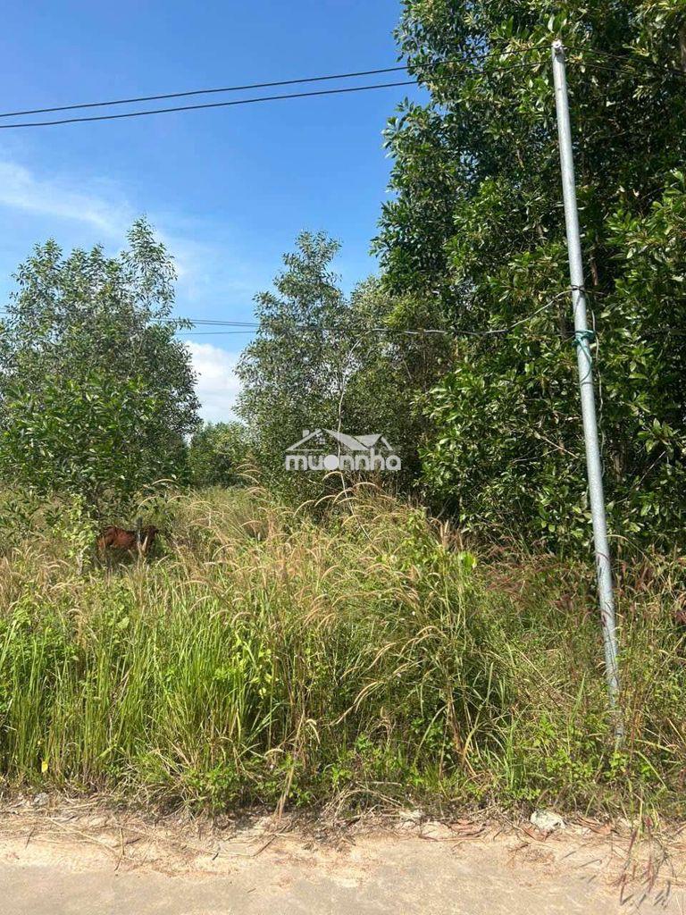 Đất gần khu du lịch núi chứa chang - Ảnh 3
