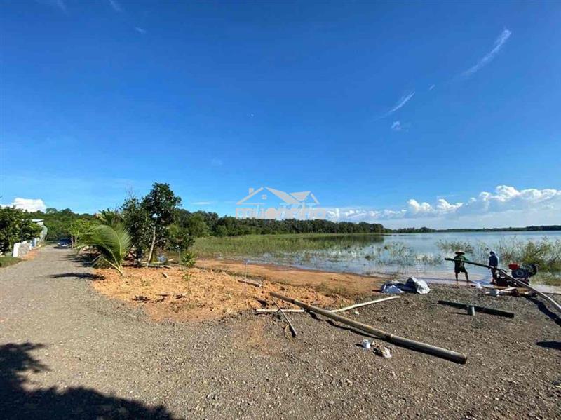 Em chính chủ gởi bán lô vườn bưởi 8700m2, trên đất trồng bưởi 7 năm