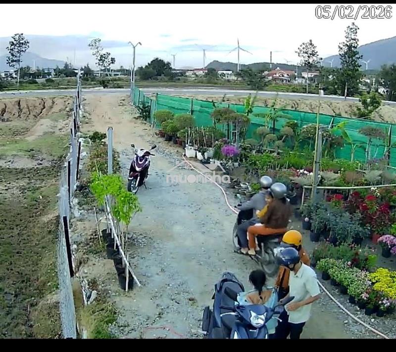 Bán đất nông nghiệp gần trường phan bội châu