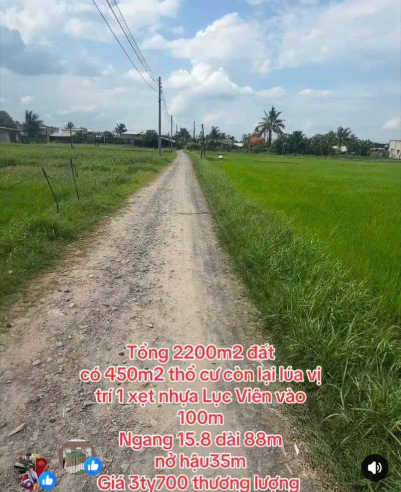 Bán đất thổ + lúa thích hợp xây nhà vườn xã đức lập hạ tdt 2200m2 ( 450m2 thổ) giá 3,7 tỷ - Ảnh 4