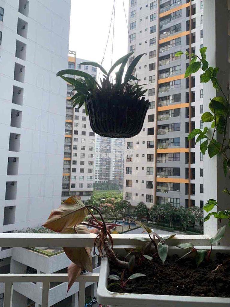Căn hộ 71m2, 2pn,2wc, 2 ban công,  1 lô gia - Ảnh 2