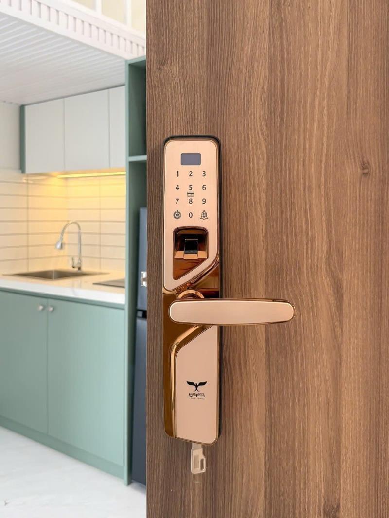Cho thuê căn hộ duplex full nội thất ban công tại hoa sữa ngay phan xích long - Ảnh 2