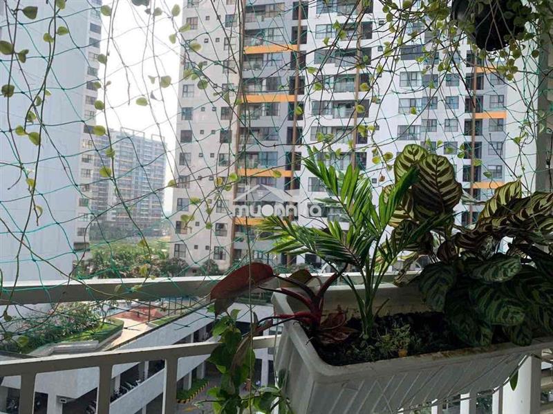 Căn hộ 71m2, 2pn,2wc, 2 ban công,  1 lô gia