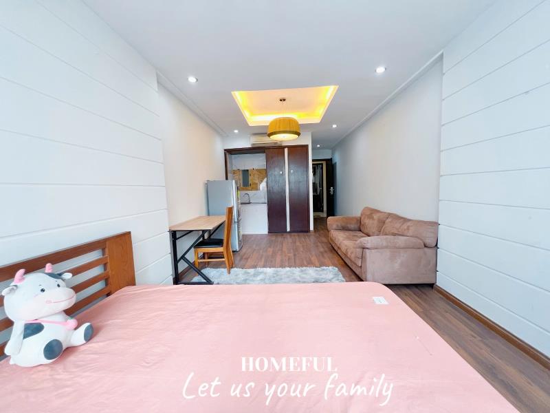 Studio bình giã, gần cầu vượt hoàng hoa thám, trục đường trường chinh, ngã tư bảy hiền - đại học văn hiến - Ảnh 2
