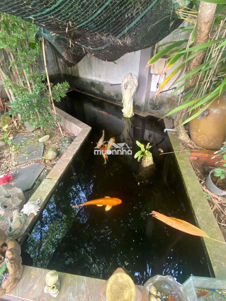 Cho thuê nhà sân vườn 3 tầng nguyên căn nhà bè - huỳnh tấn phát - Ảnh 3