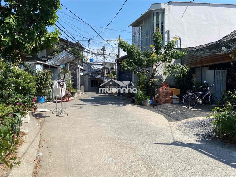 Chính chủ cho thuê nhà nguyên căn