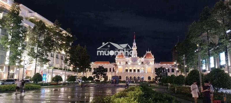 Bán căn hộ phố đi bộ lê lợi quận 1