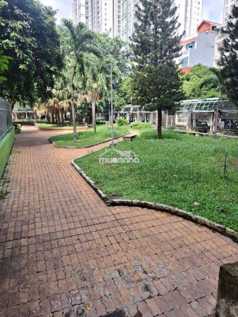 Chỉ 3.1 tỷ sở hữu căn hộ ngay trung tâm quận 10 - 54m2 - 3pn - Ảnh 2