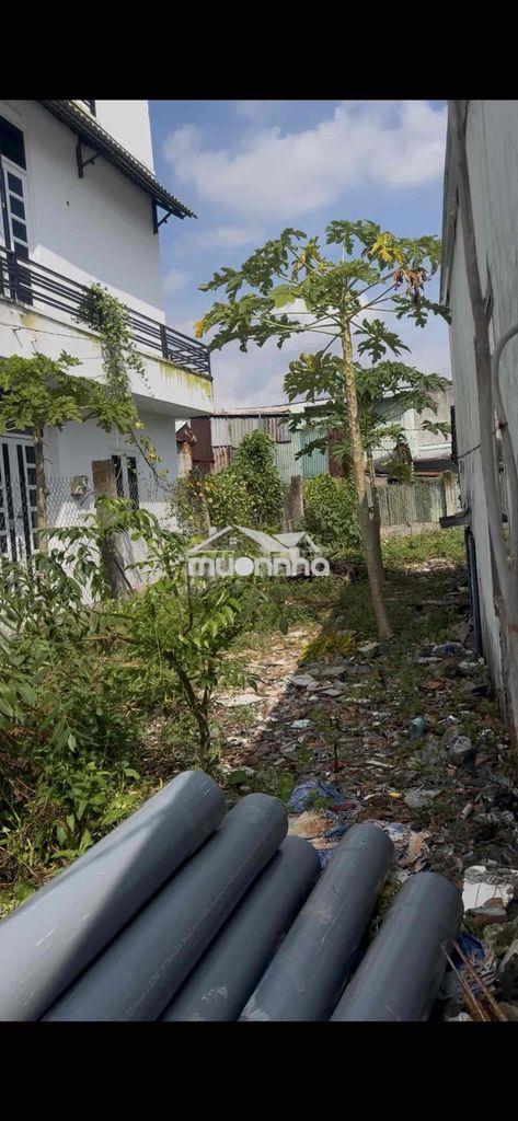 Nhà vườn nguyên căn cho thuê 6 triệu - Ảnh 2