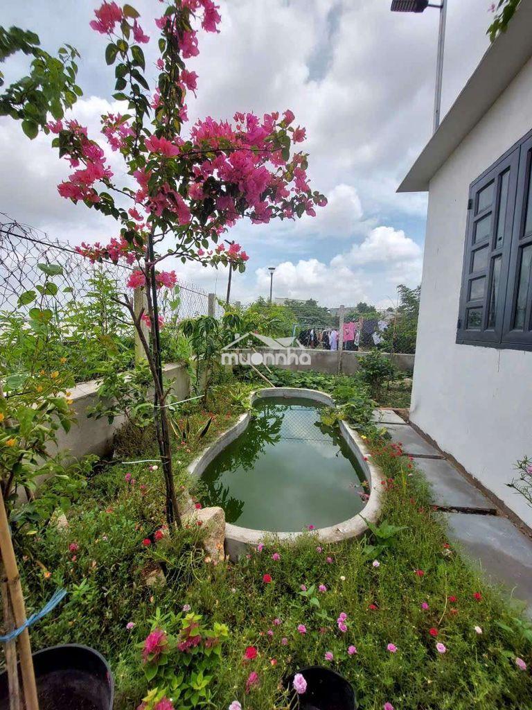 Bán nhà đất tại xã bình khánh, cần giờ, tp.hcm - Ảnh 2
