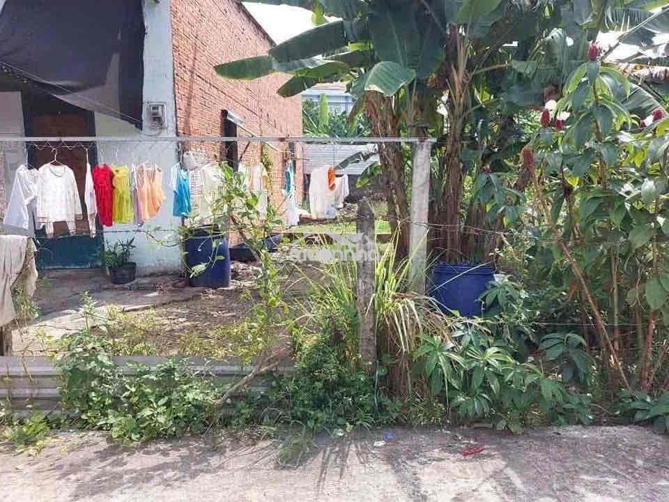 10x17 hem nguyen kim cuong - Ảnh 2